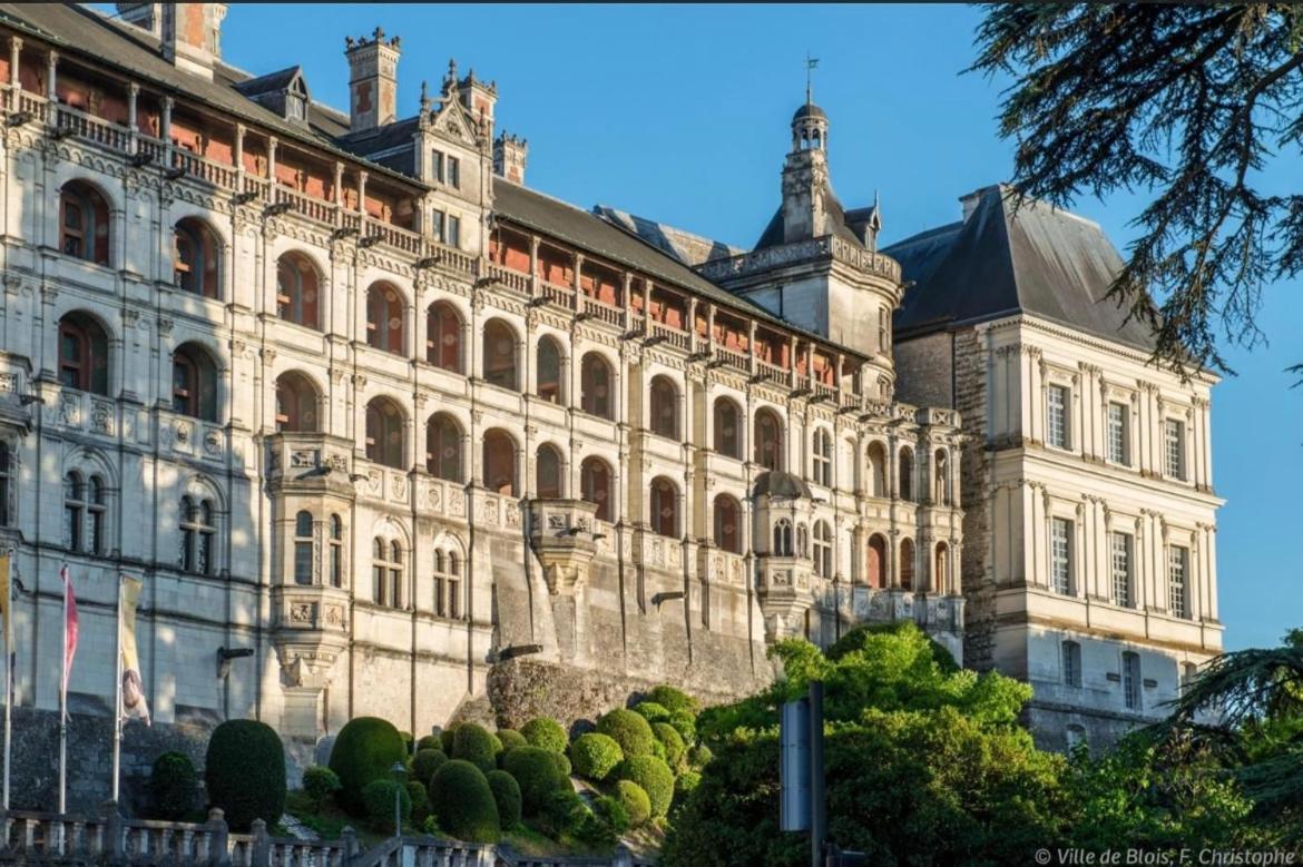 Appartement Haut Standing Proche Du Centre Ville, Vue Sur La Cathedrale Saint Louis Blois Zewnętrze zdjęcie